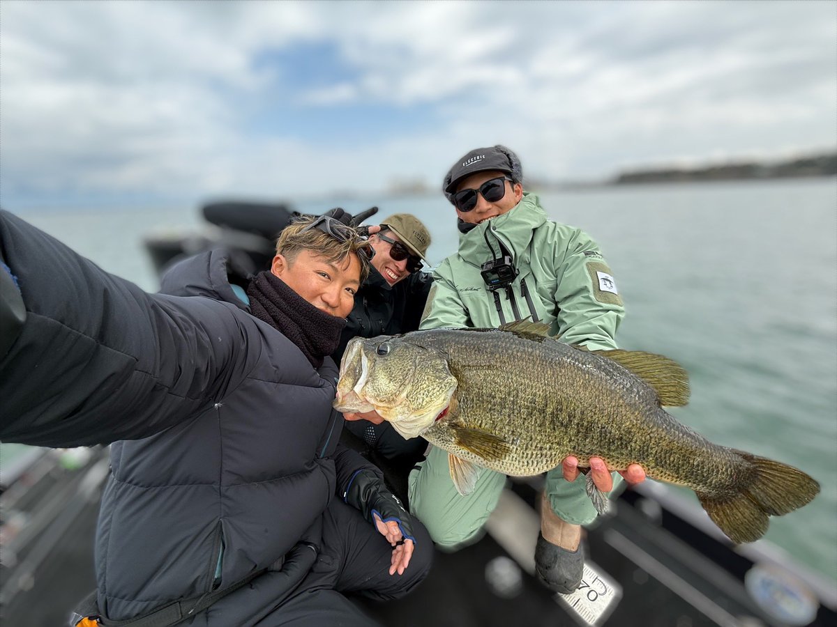 ビックリマン高田雄介 tweet media