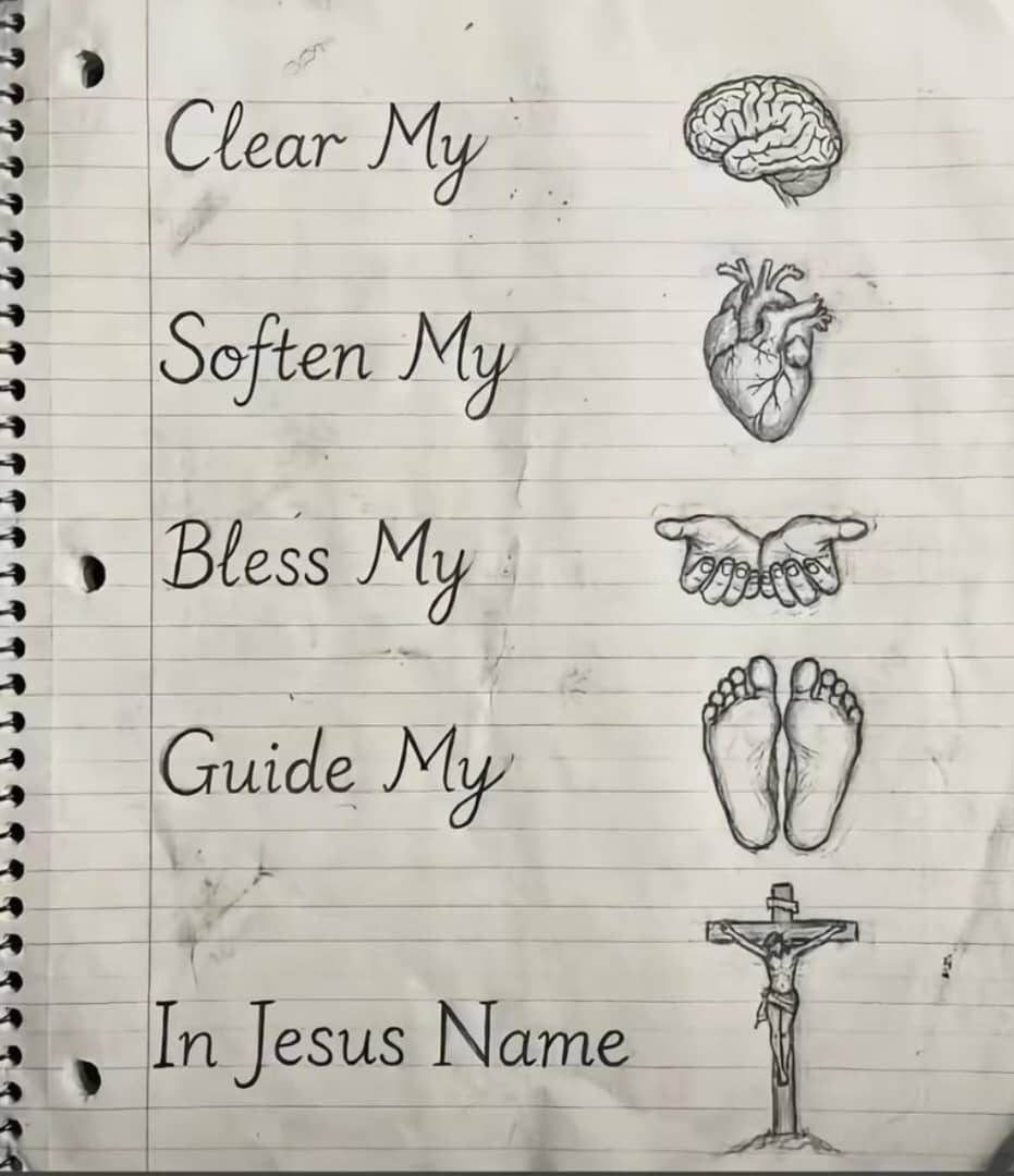 Good morning CT and happy new week $SHAPIRAGS