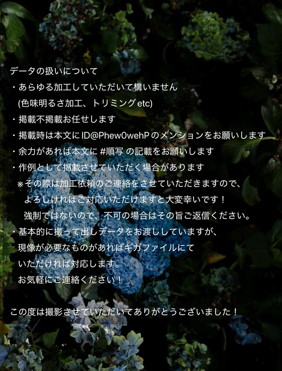 順📸 tweet media