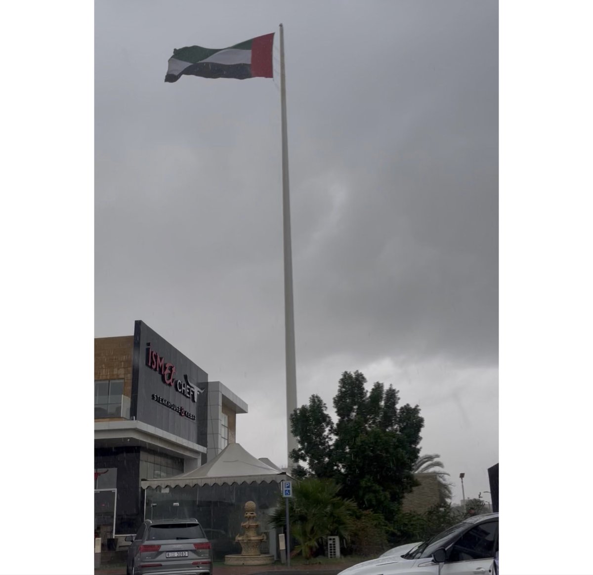 Alya 🇦🇪 tweet media