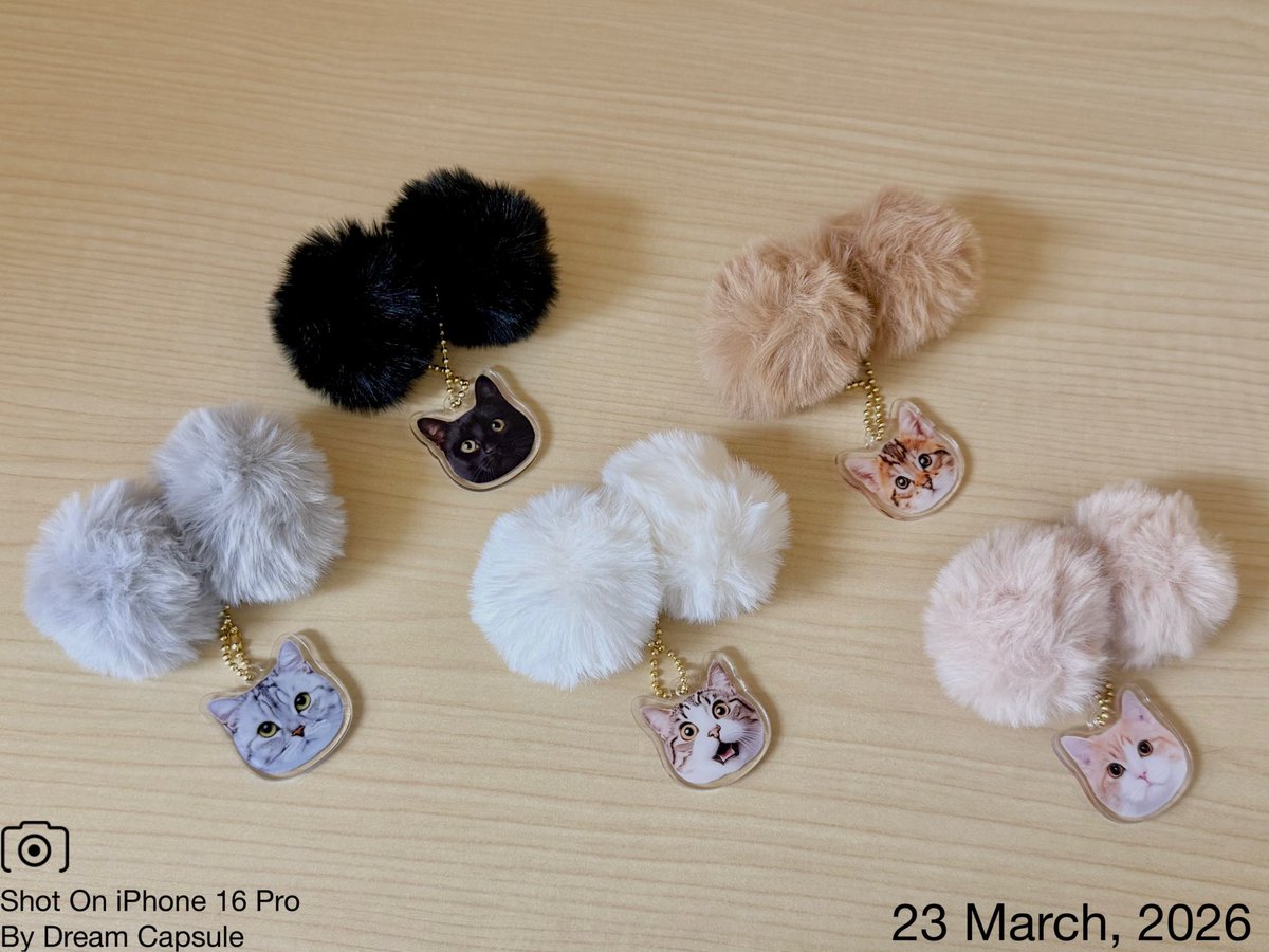 ドリームカプセルの中の人【公式】 tweet media