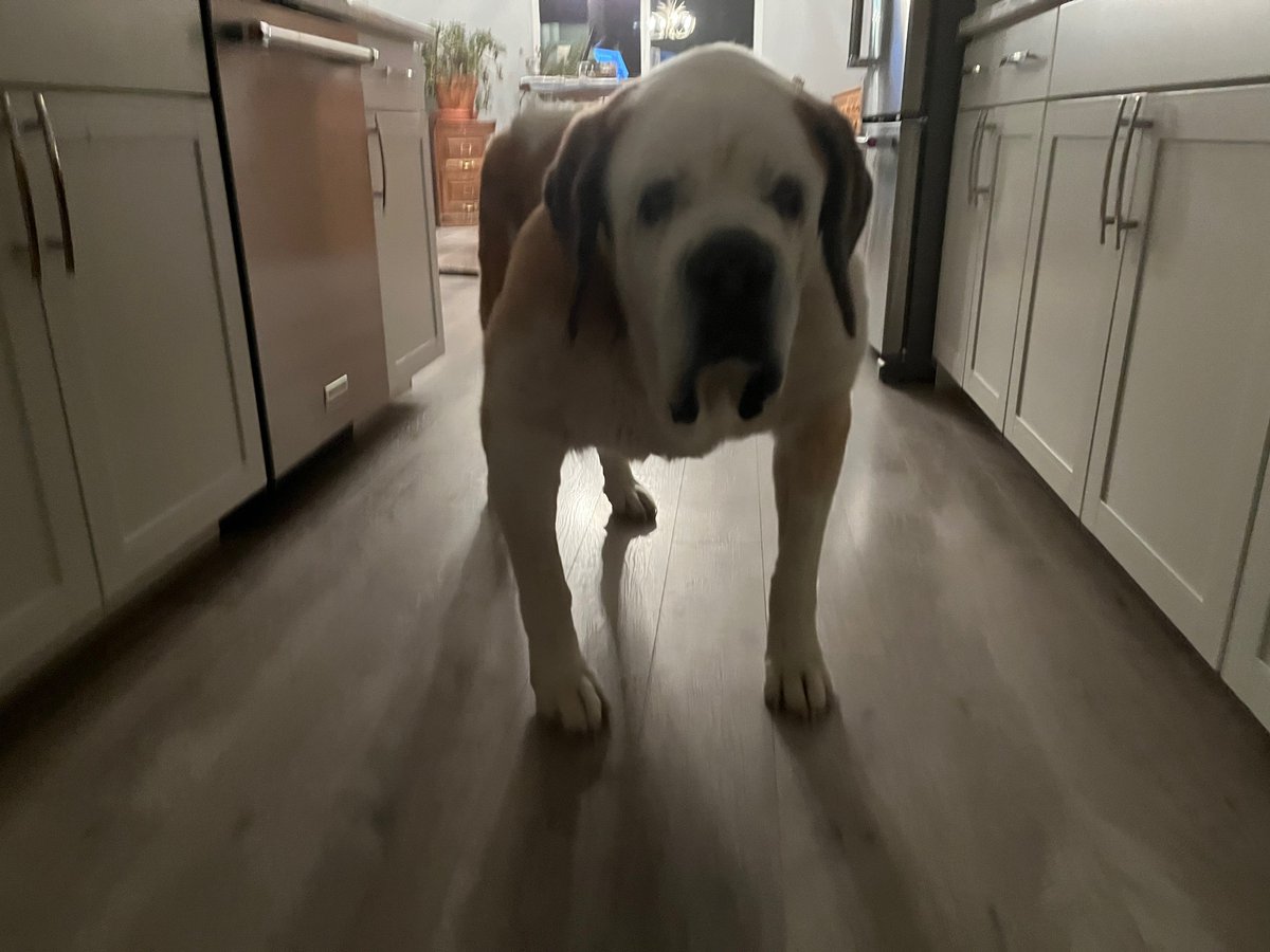 Niles Clark tweet media