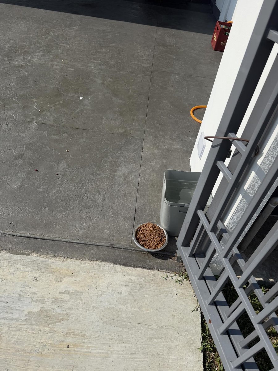 MYNEWSHUB tweet media