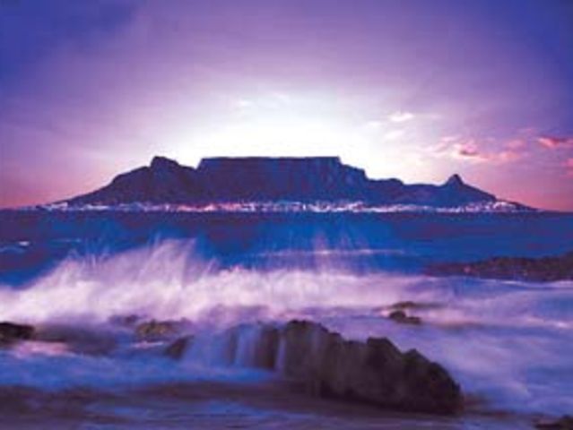 Ivy Rose tweet media