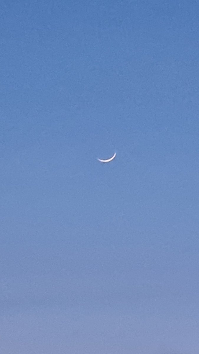 💚 P 🪴 tweet media