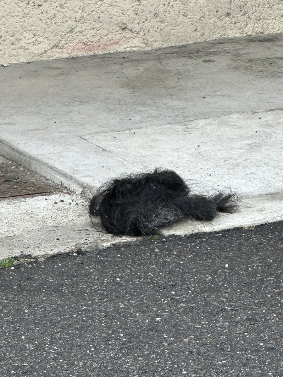 サツキとメイん家かとおもた