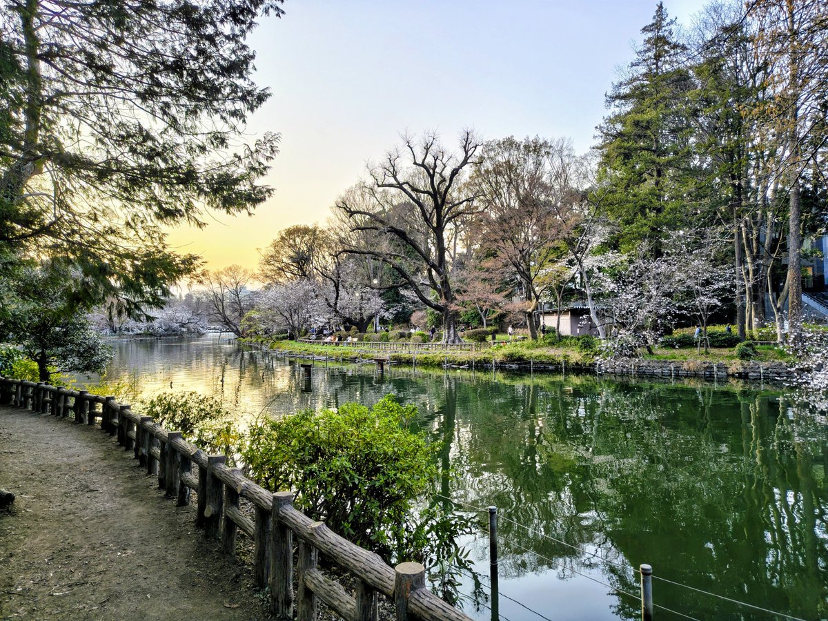 園田喬し/演劇ライター tweet media