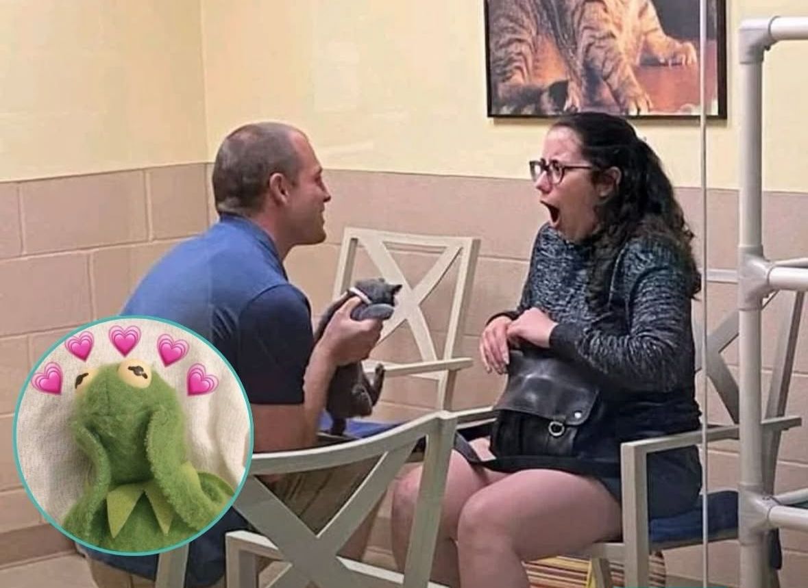 Celebs Arabic tweet media