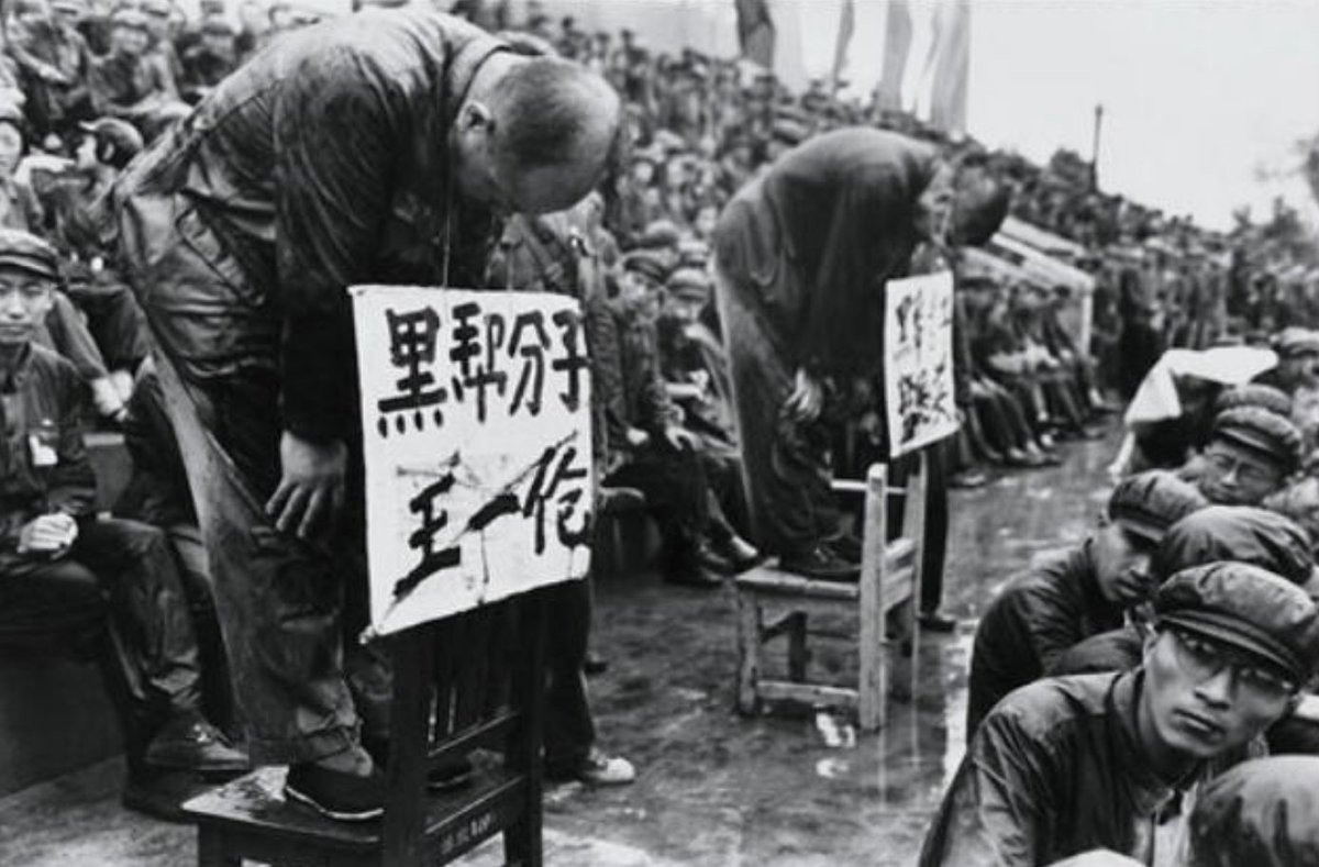 Ritter Runkels Rübenradio. tweet media