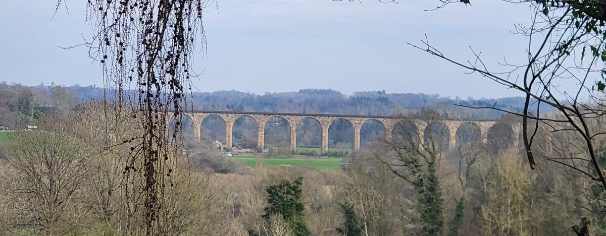 Barnchik's tweet photo. 10 mile sponsored walk from #Pontcysyllte #Aqueduct at Trevor (#Llangollen) to Chirk and back. Weather was on our side. So many people attended with a total of 106 dogs... including my girl 😊 https://t.co/AShgcSp3d2