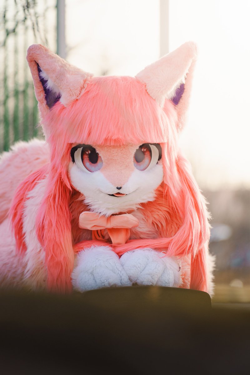 사바나캣 tweet media