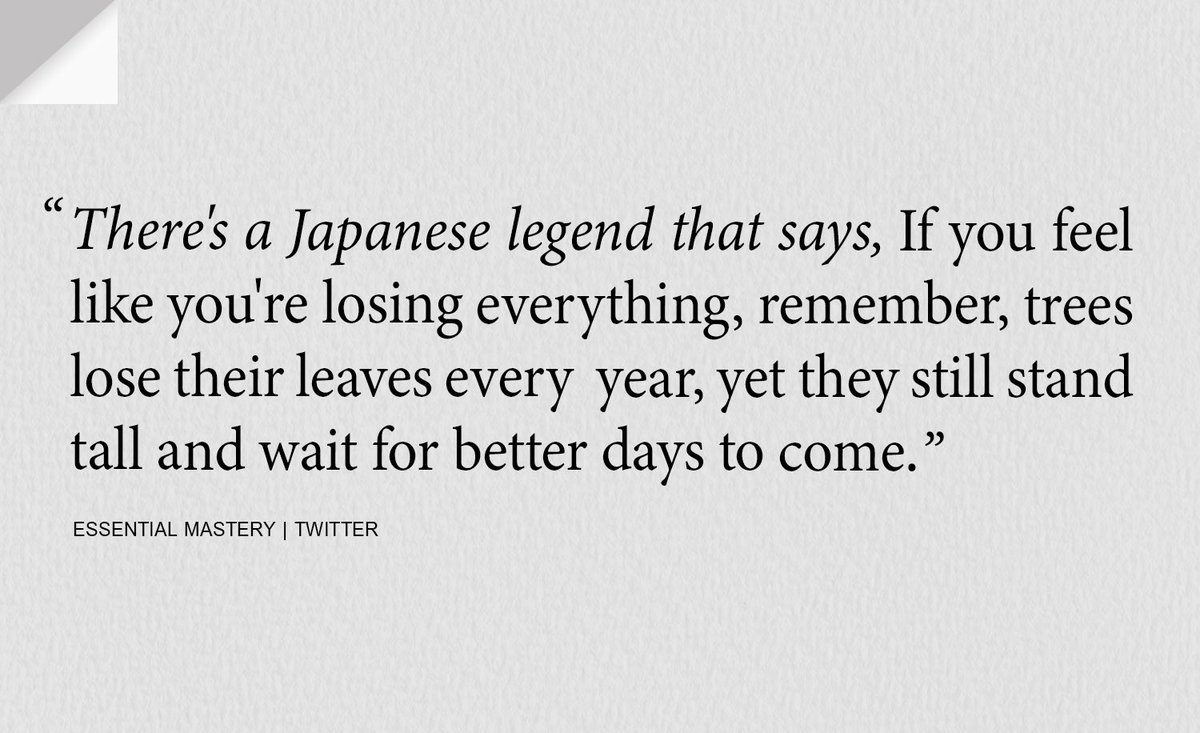 Salma Millwright tweet media