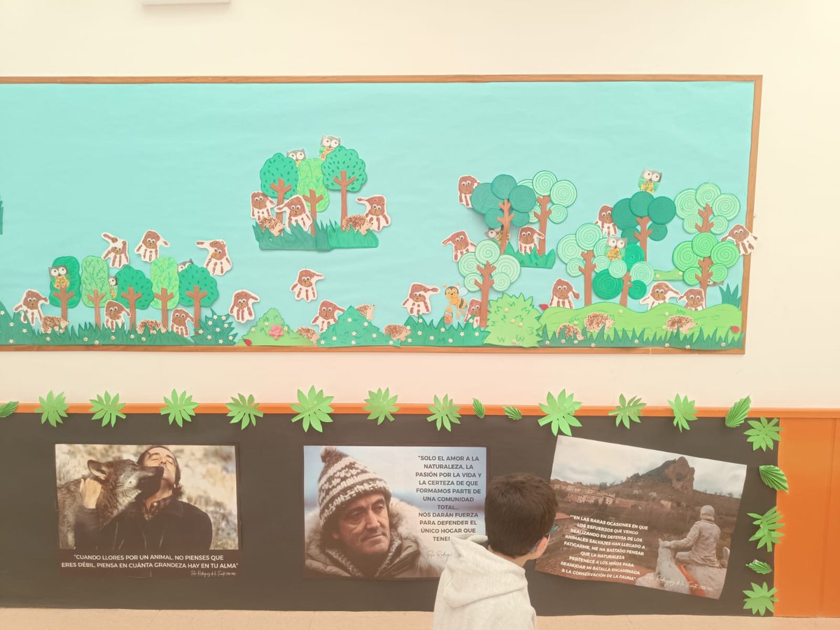 CEIP Claudio Sánchez Albornoz tweet media