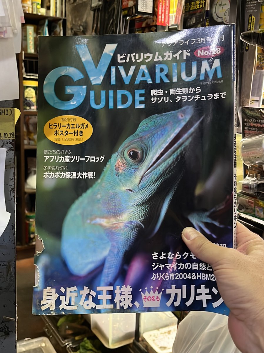 @eggrep2 tweet media