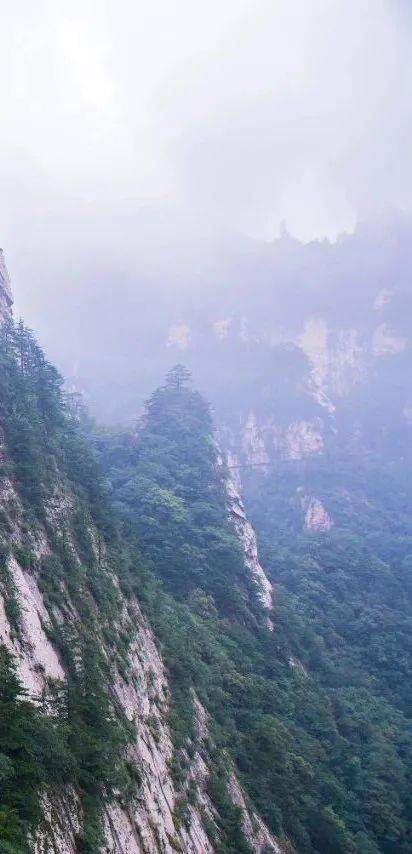 Щепотка соли tweet media