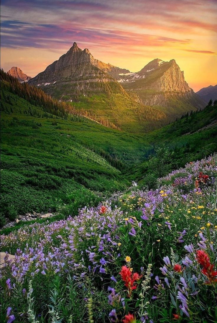 Art - Photography and Music tweet media