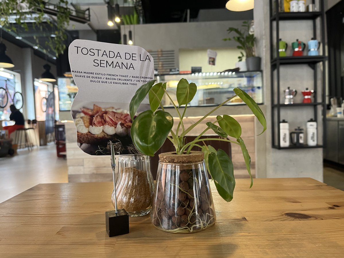 Nekane Domblás tweet media