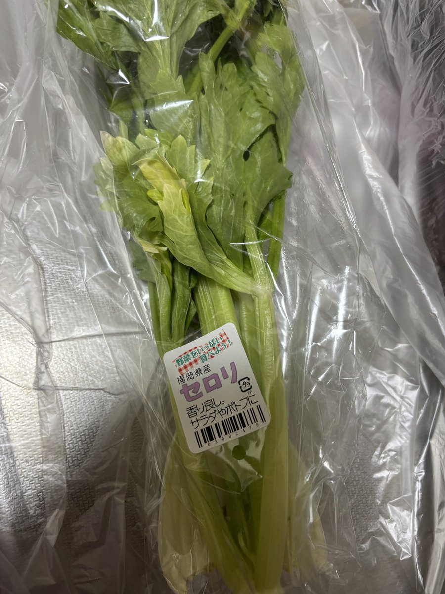 とんすけ tweet media