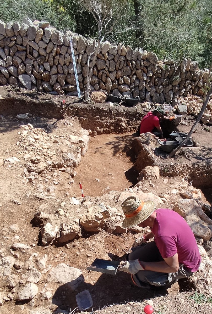 MedGreenRev tweet media