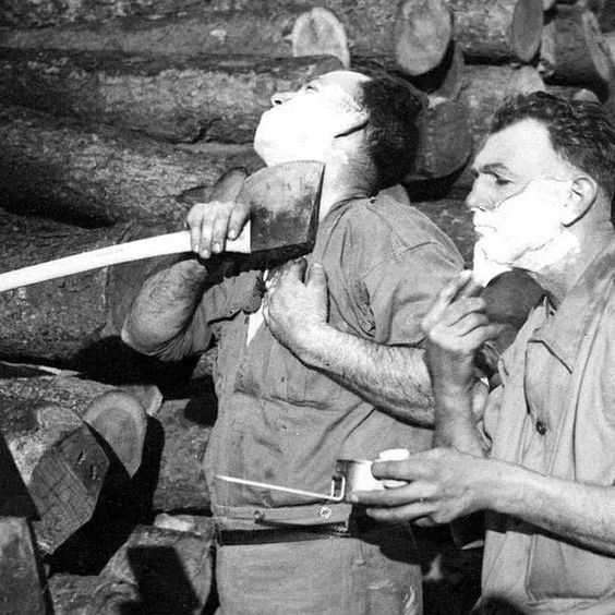 Lemón 🍋 tweet media