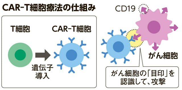 cakaili's tweet photo. 日本国内ない新たなガン治療方、RNA遺伝治療方、手術不用、完治率50%、ガンを抑える確率80-90%、治療代金はガン種類により異なります、海外治療となりますので移動できる方ご相談ください、現地治療全て手配致します。
#ガン
#癌
#治療
#遺伝子
#癌治療 https://t.co/cHhe2W8eS9
