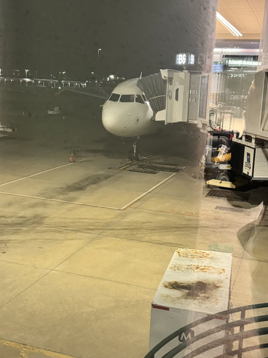 Lindsey 🇺🇸🐝 tweet media