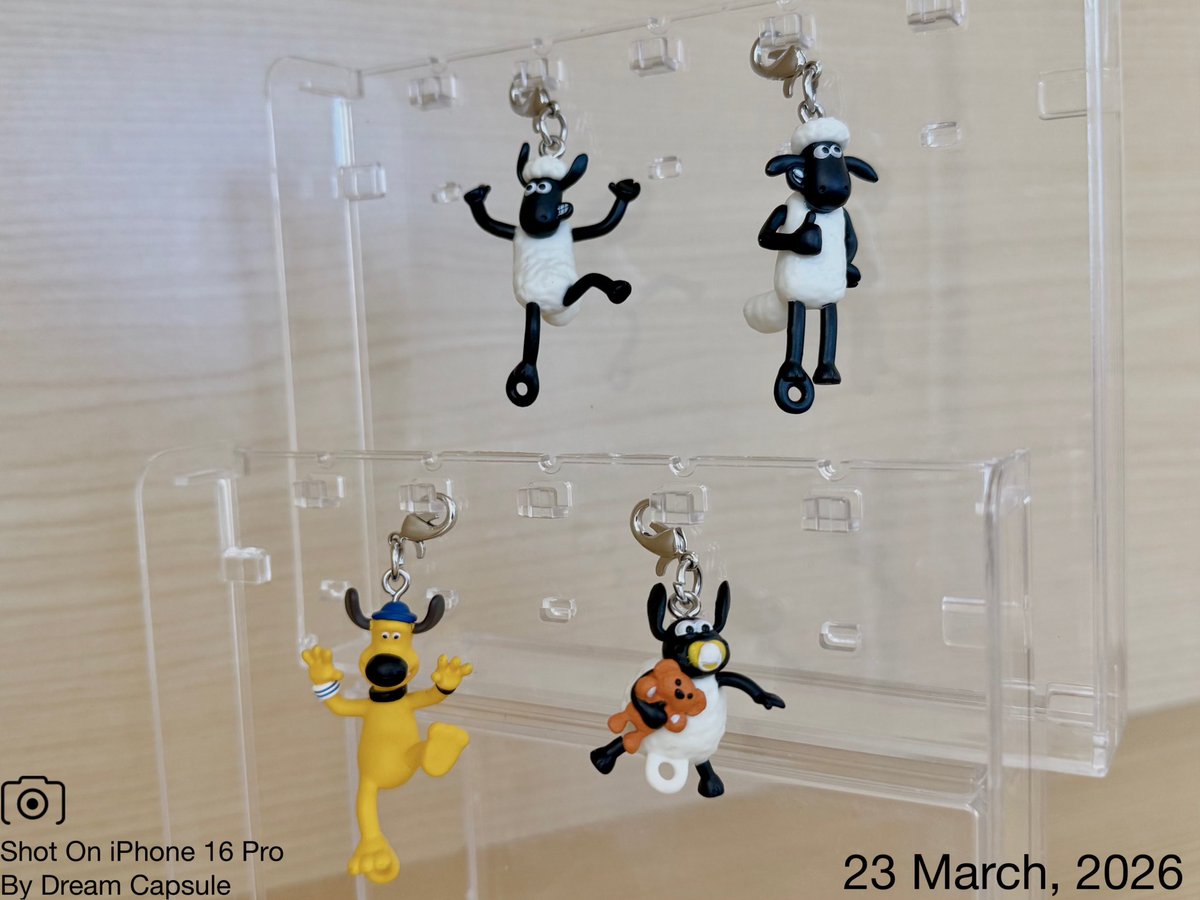 ドリームカプセルの中の人【公式】 tweet media