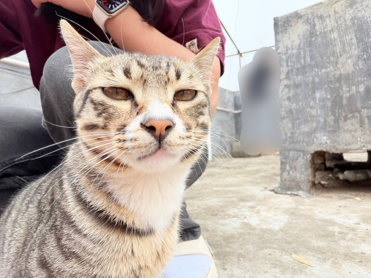 三瓣嘴花光我所有钱 tweet media