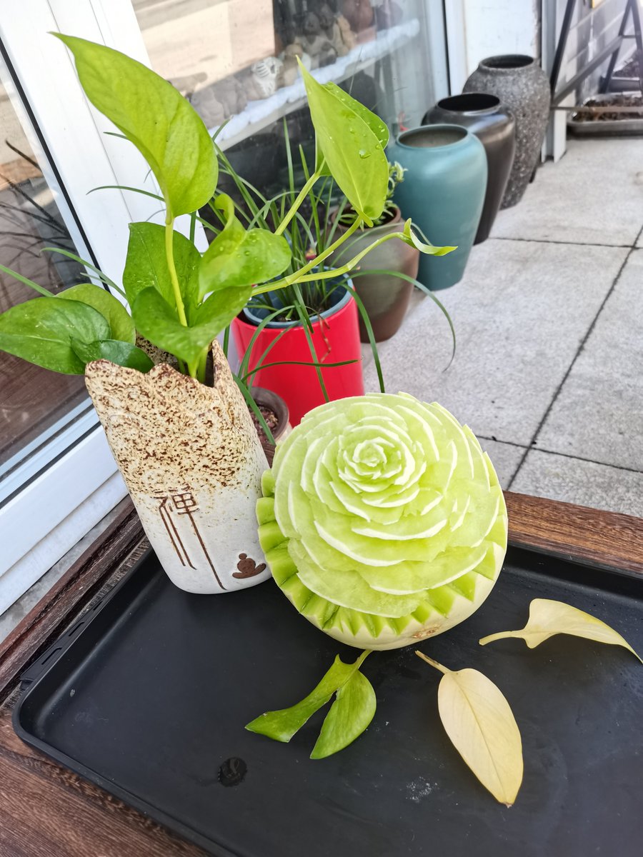 just adit tweet media