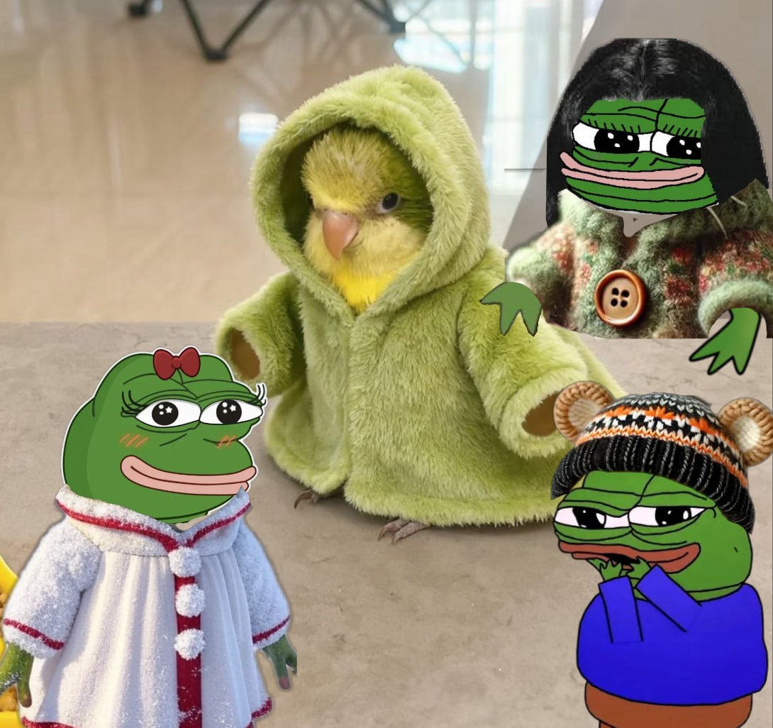 PepeTheFrog89isback tweet media