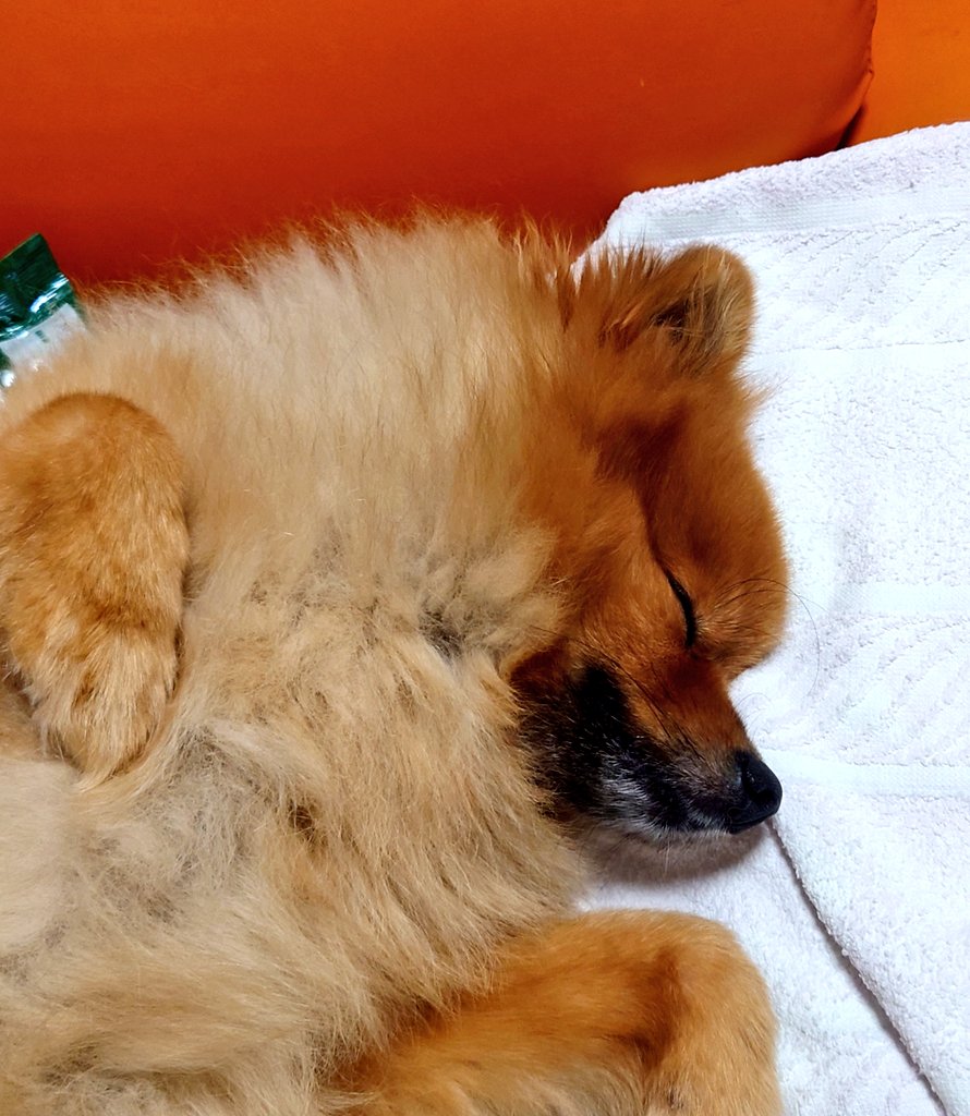 たじま tweet media