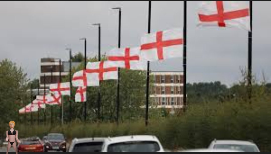 Part of Planet Stupid. tweet media