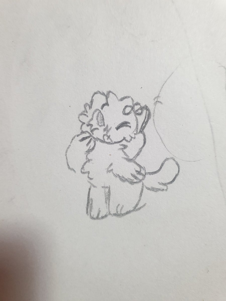 JetLagKitty tweet media