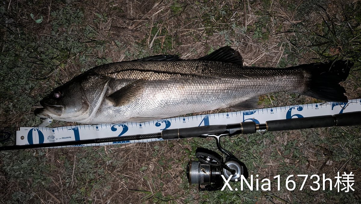 おにぐら tweet media