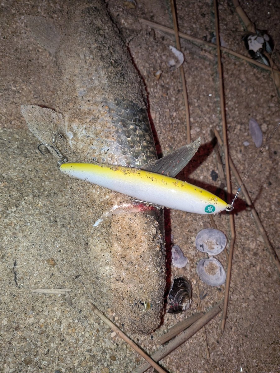 おにぐら tweet media