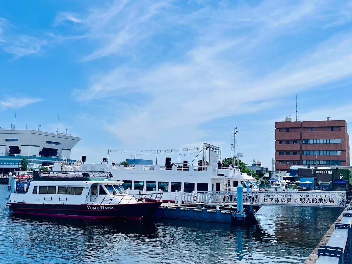 つよ〜め🏆🪼 tweet media