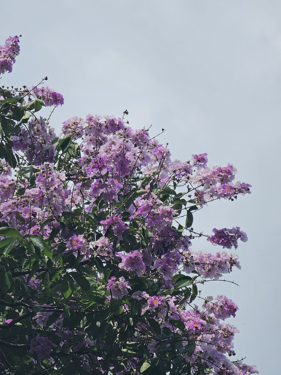 BONGBANK tweet media