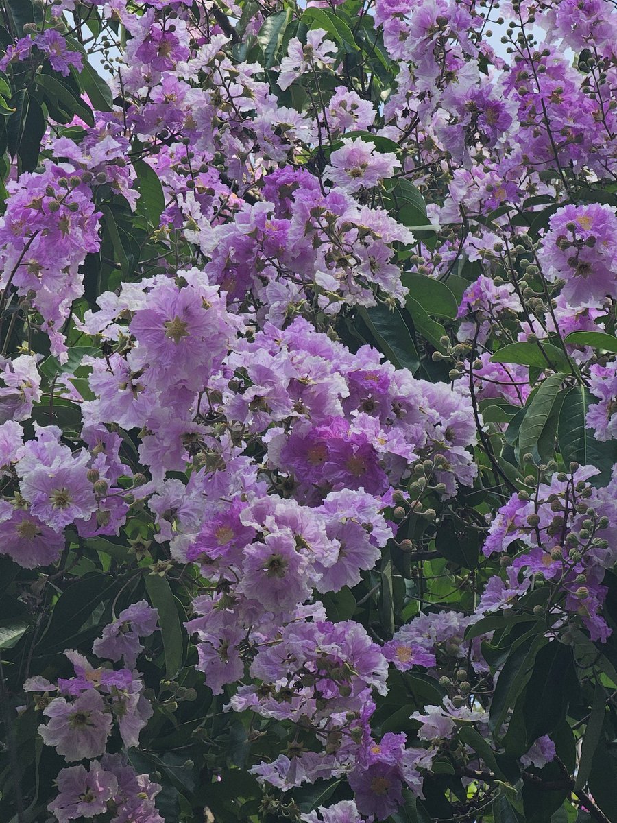 BONGBANK tweet media