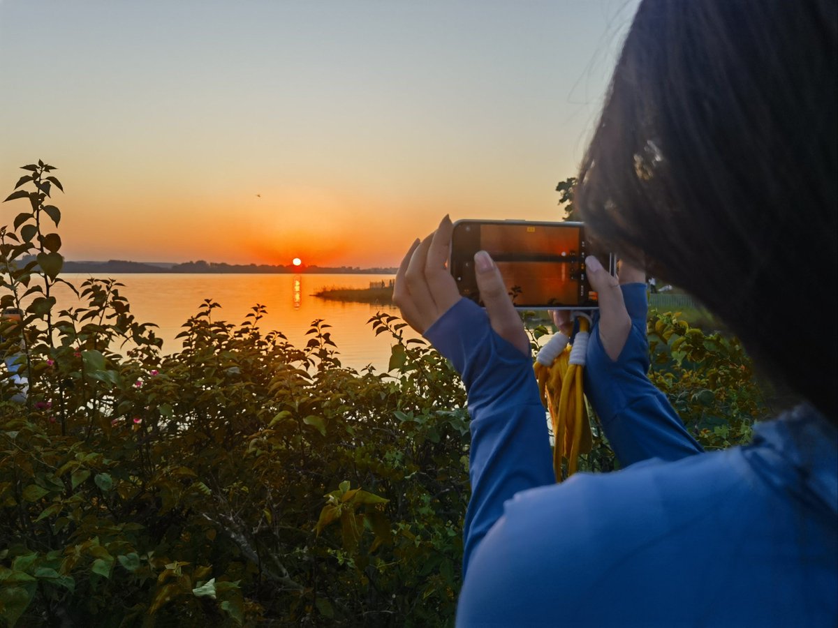 Luis Olivera tweet media