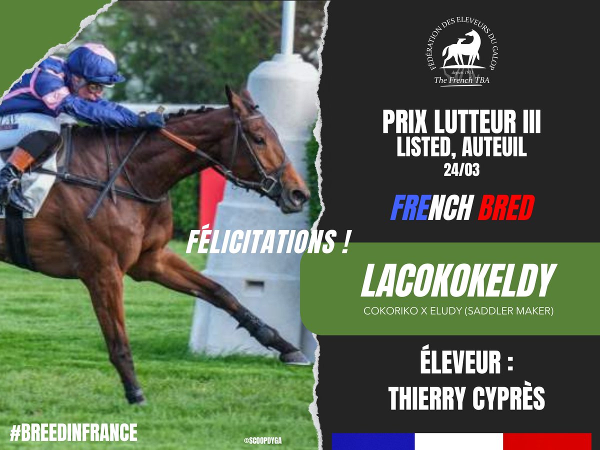 Eleveurs du galop tweet media