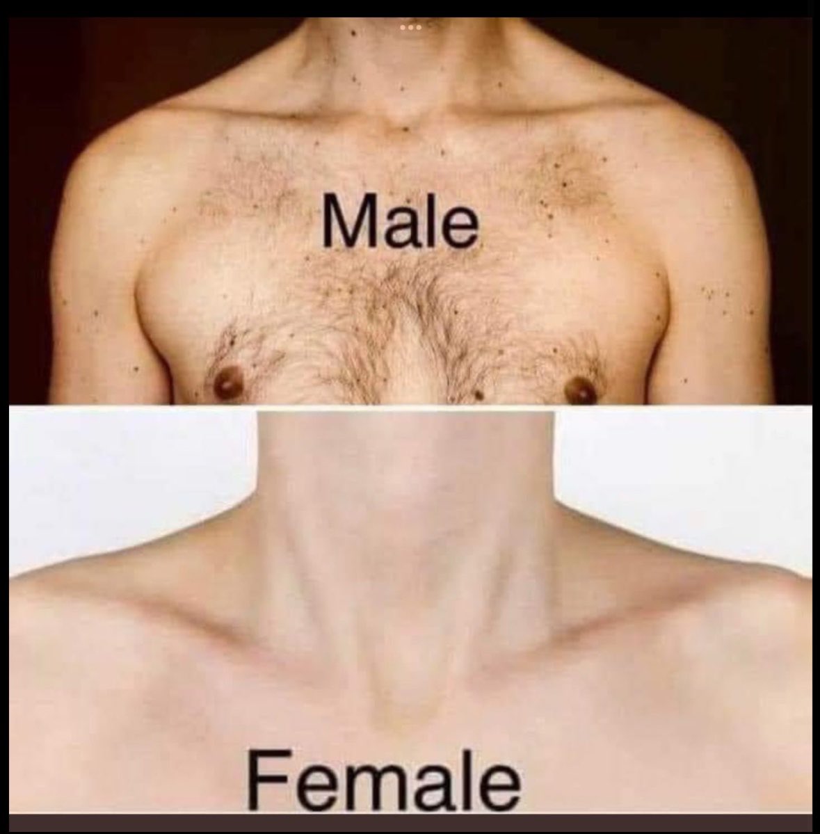 BIG HIT 🎃 tweet media