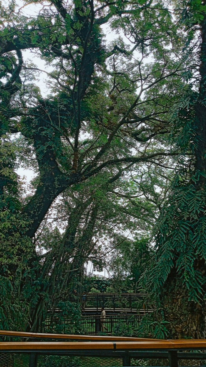 Phinut🥜 tweet media