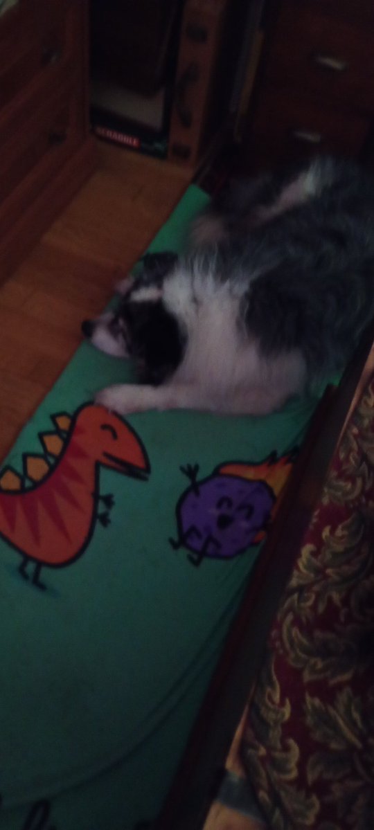 Steamfuck🇵🇸 tweet media