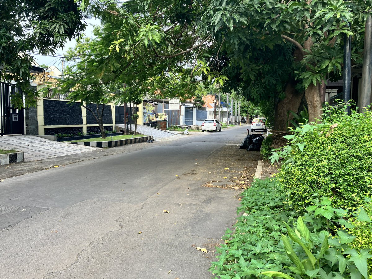 dhani wijaya tweet media