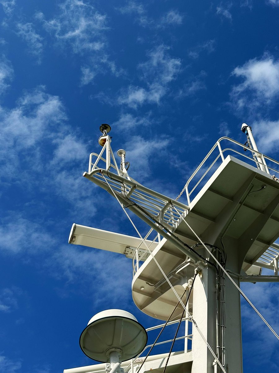 荒木健太郎 tweet media