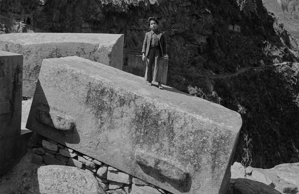 Jeffrey van der Lugt tweet media