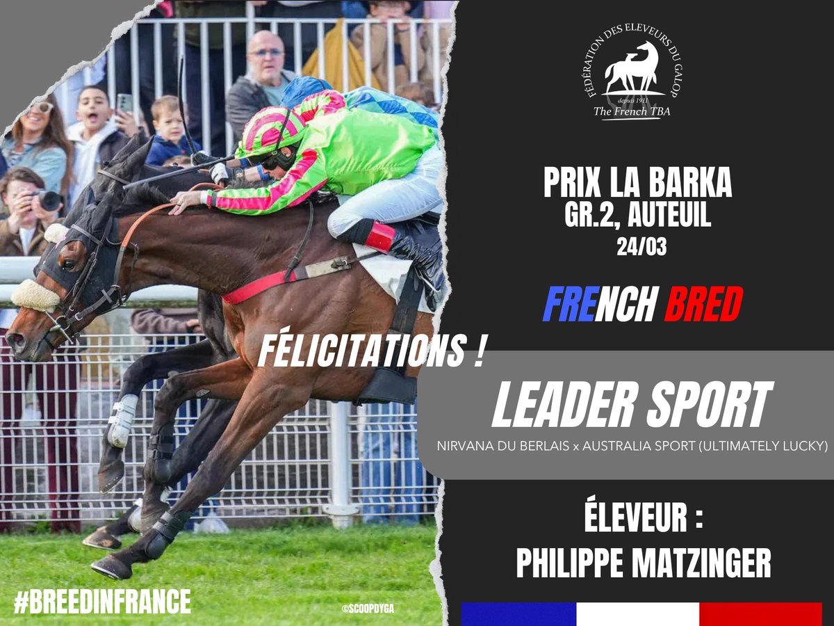 Eleveurs du galop tweet media