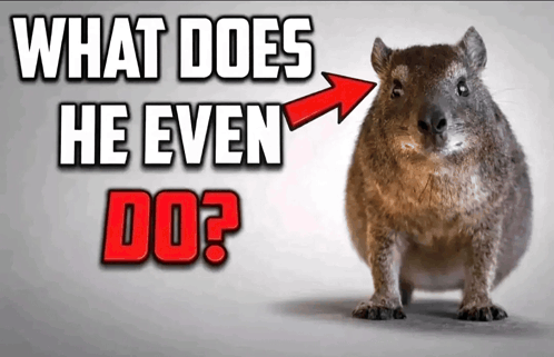 Protasio1968 tweet media