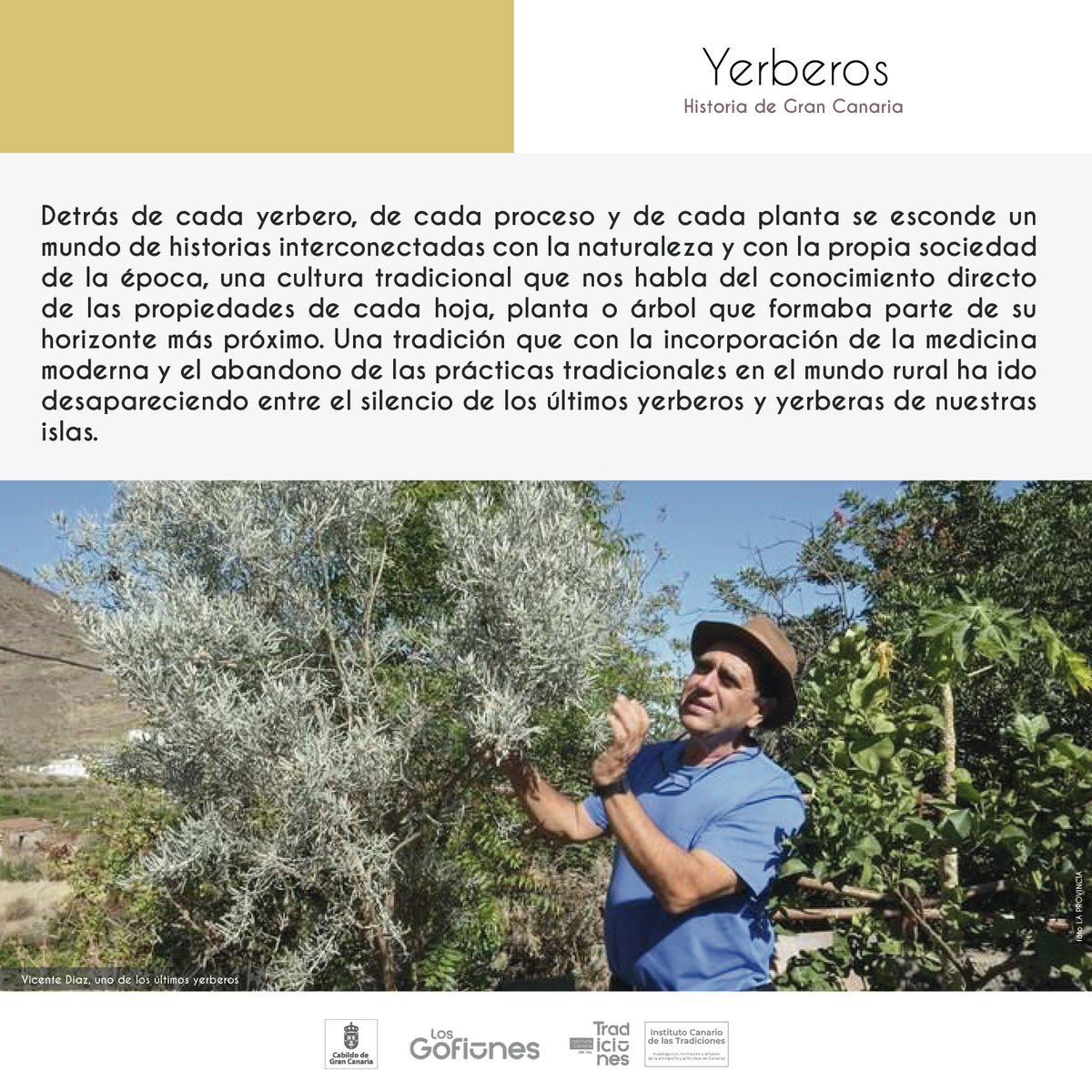 Instituto Canario de Las Tradiciones tweet media