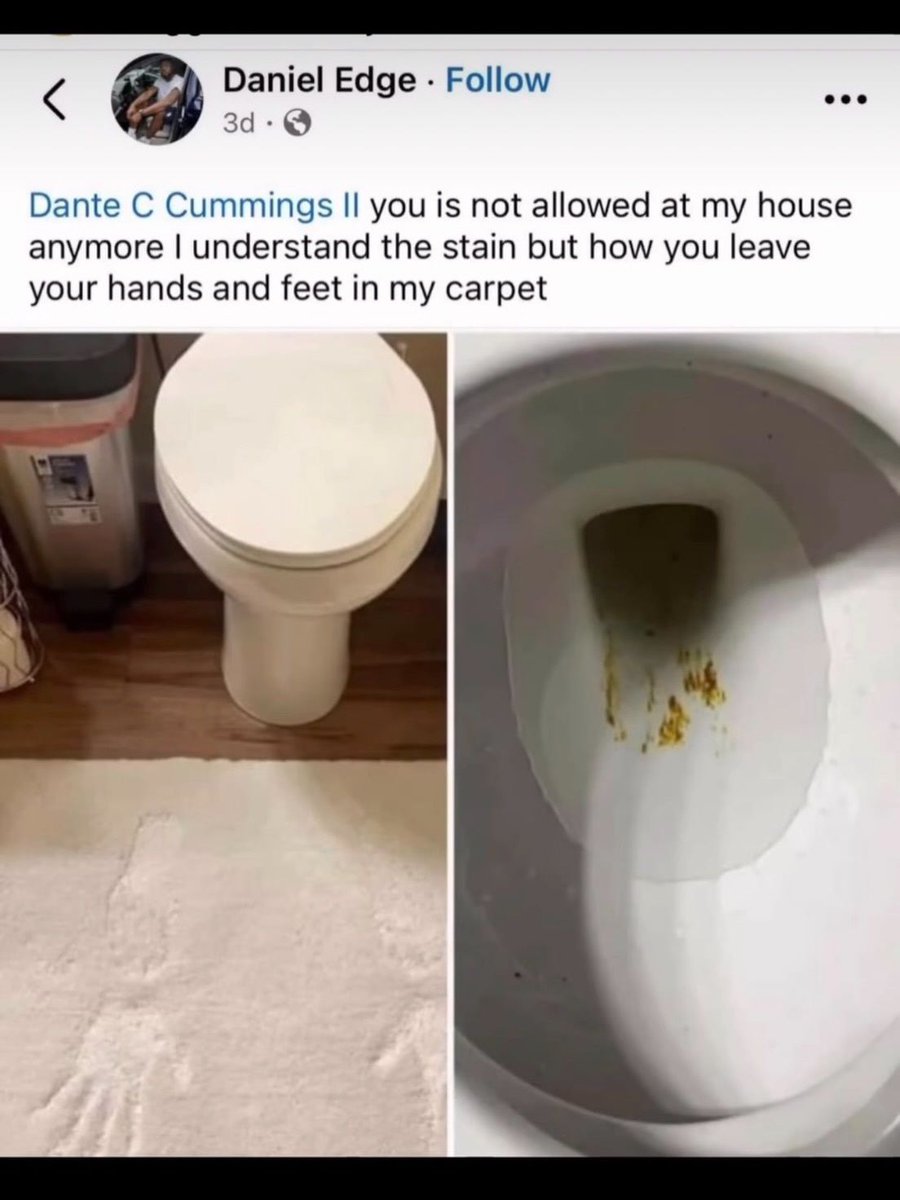 Braindead Bird App tweet media